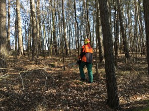 Holzfäller im Wald